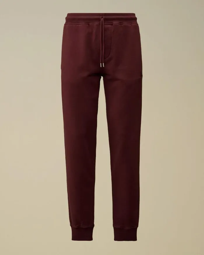 CP Company Tracksuits and Shorts Brushed And Emerized Diagonal Fleece Cargo Sweatpants Potent Purple 8211 Man