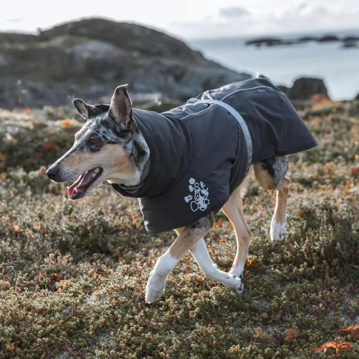 Dog Jackets Dogs Orvis Hurtta Extreme Warmer Dog Coat Blackberry