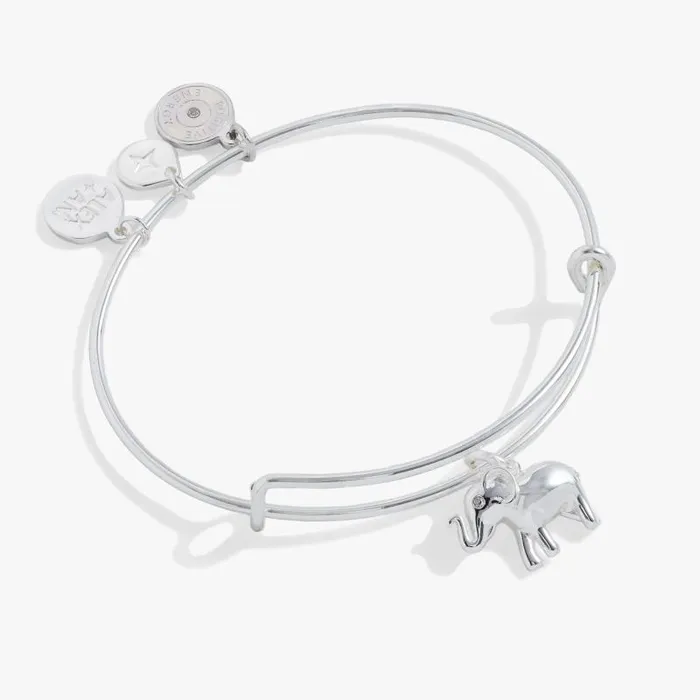 Iconic Women Alex And Ani Elephant Charm Bangle Silver