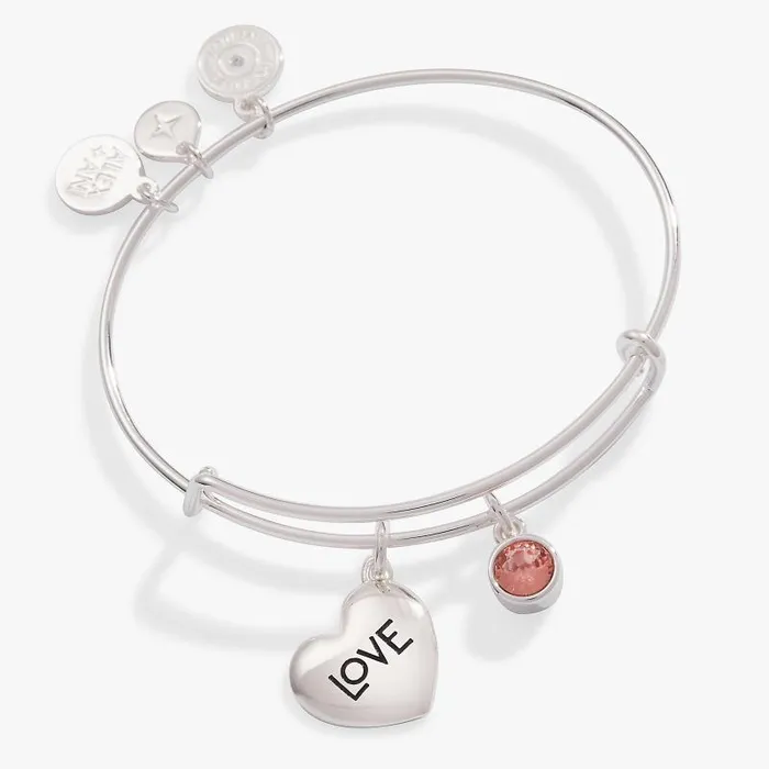 Iconic Women Alex And Ani Love Heart MultiCharm Bangle Silver