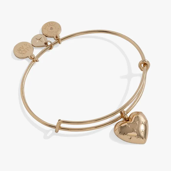 Iconic Women Alex And Ani Metal Heart Charm Bangle Gold