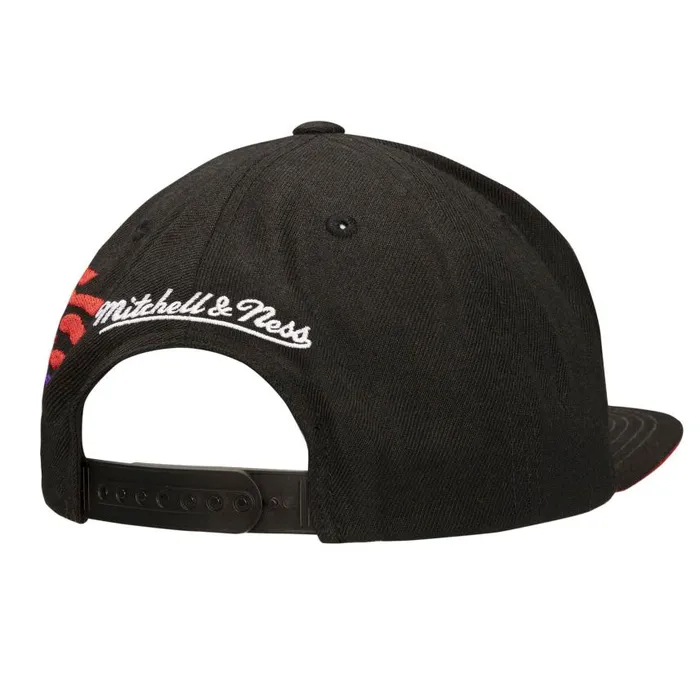 Mitchell and Ness Happy Trees Snapback HWC Toronto Raptors Men Hats and Headwear