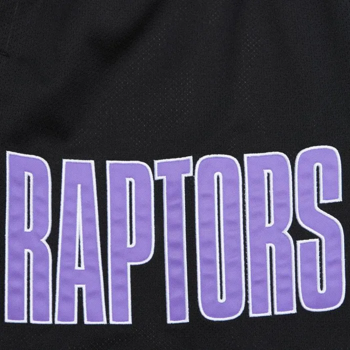 Mitchell and Ness Team OG 20 Fashion Shorts 7034 Vintage Logo Toronto Raptors Men Shorts Mitchell and Ness Team OG 20 Fashion Shorts 7034 Vintage Logo Toronto Raptors Men Shorts