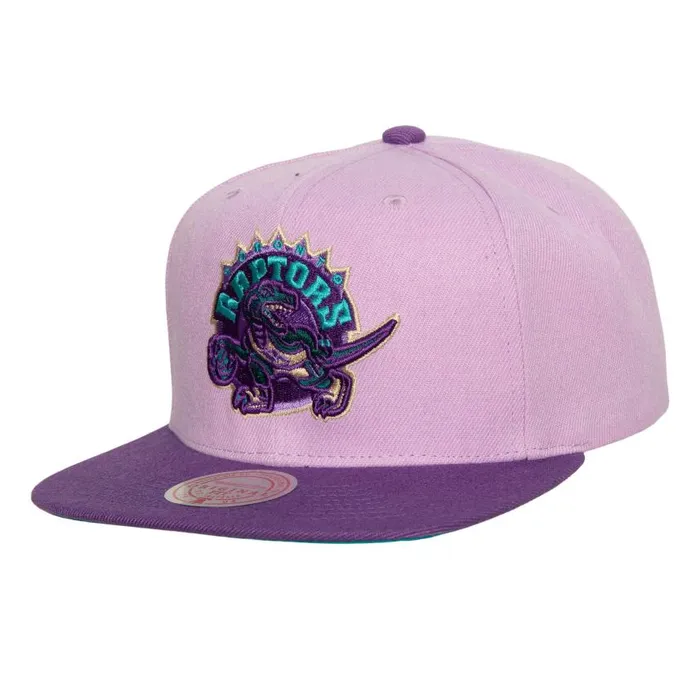Mitchell and Ness Violet Views Snapback HWC Toronto Raptors Men Hats and Headwear Mitchell and Ness Violet Views Snapback HWC Toronto Raptors Men Hats and Headwear