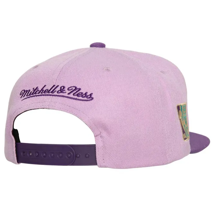 Mitchell and Ness Violet Views Snapback HWC Toronto Raptors Men Hats and Headwear Mitchell and Ness Violet Views Snapback HWC Toronto Raptors Men Hats and Headwear