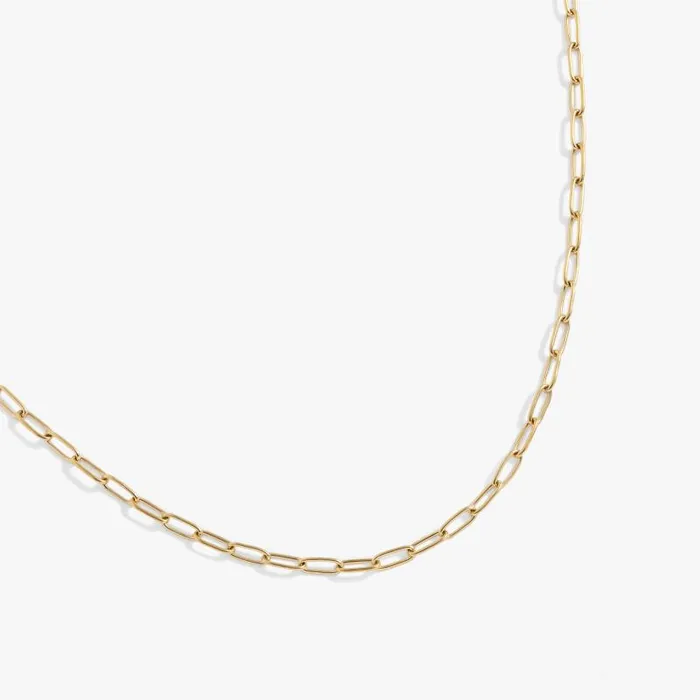 Necklaces Women Alex And Ani Paperclip Charm and Layering Necklace Stainless Steel Gold