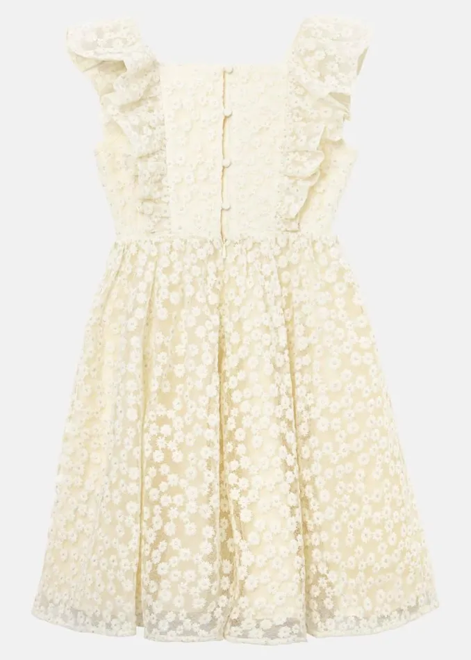 Phase Eight Dresses Daisy Smock Dress Yellow 8211 Women