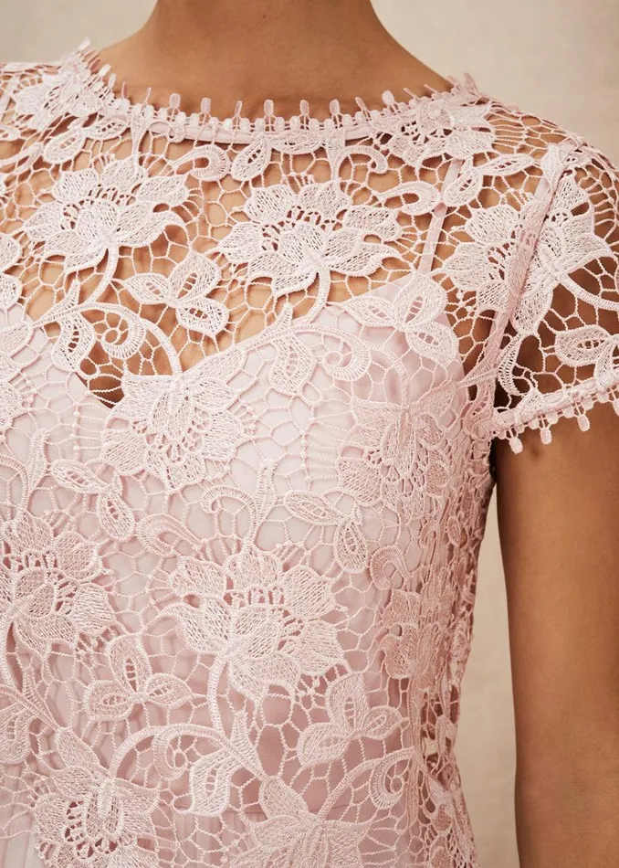 Phase Eight Dresses Michelle Lace Pleated Maxi Dress Antique Rose 8211 Women Phase Eight Dresses Michelle Lace Pleated Maxi Dress Antique Rose 8211 Women