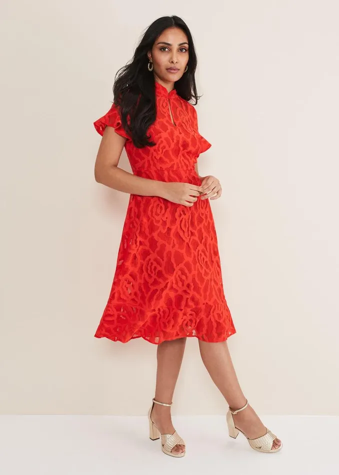 Phase Eight Dresses Petite Lulu Lace Midi Dress Fire 8211 Women