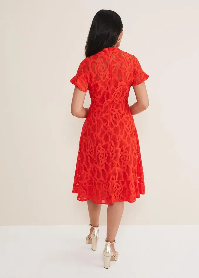 Phase Eight Dresses Petite Lulu Lace Midi Dress Fire 8211 Women