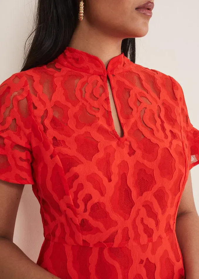 Phase Eight Dresses Petite Lulu Lace Midi Dress Fire 8211 Women