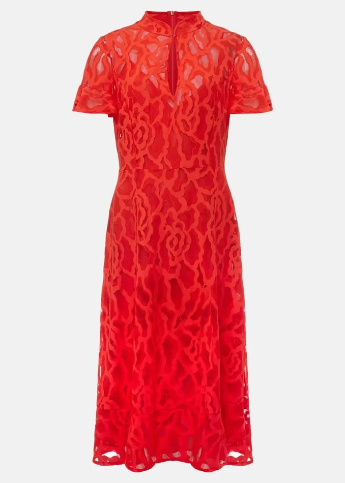Phase Eight Dresses Petite Lulu Lace Midi Dress Fire 8211 Women