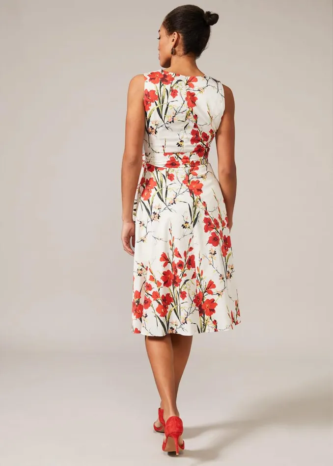 Phase Eight Dresses Sofia Floral Cotton Dress Ivoryfire 8211 Women