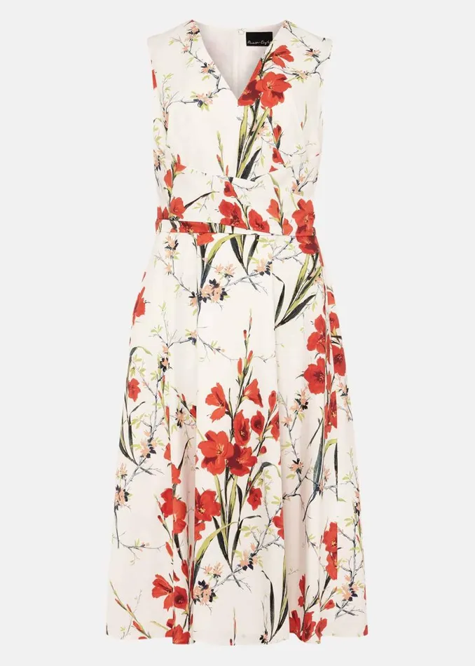Phase Eight Dresses Sofia Floral Cotton Dress Ivoryfire 8211 Women