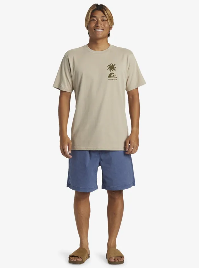 Quiksilver Tropical Breeze TShirt Plaza Taupe Mens Tees Quiksilver Tropical Breeze TShirt Plaza Taupe Mens Tees