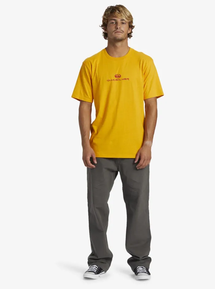 Quiksilver Wilde Chino Pants Iron Gate Mens Pants