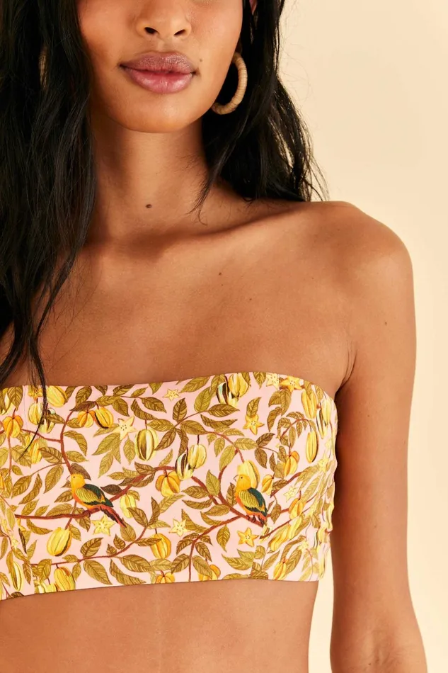 Women Crop Tops Farm Rio Light Pink Star Fruit Crop Top