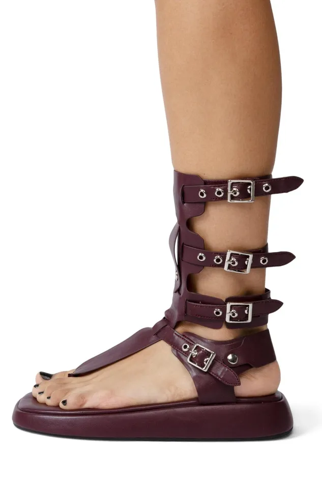 Women Jeffrey Campbell Flat AMOZONIA Wine