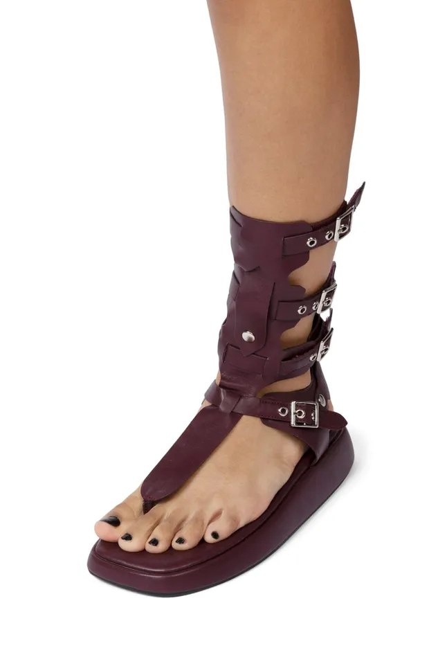 Women Jeffrey Campbell Flat AMOZONIA Wine