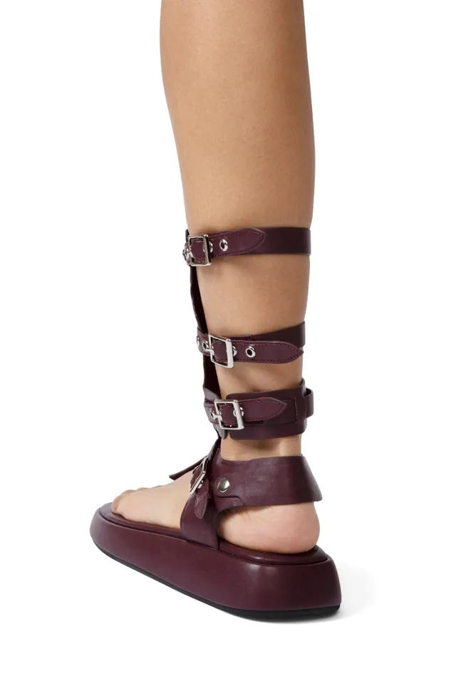 Women Jeffrey Campbell Flat AMOZONIA Wine