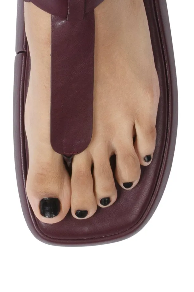 Women Jeffrey Campbell Flat AMOZONIA Wine